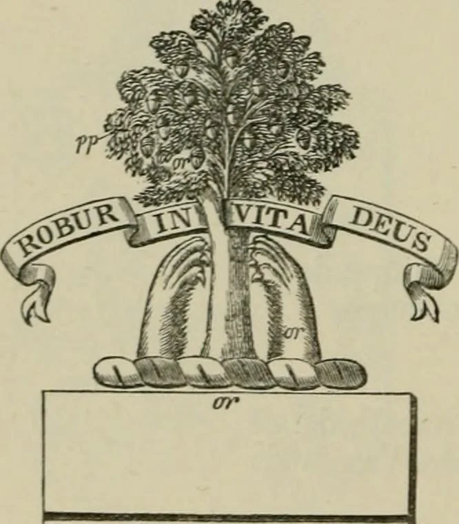An illustration from The visitation of London : anno Domini 1633, 1634, and 1635. Made by Sr. Henry St. George, kt., Richmond herald, and deputy and marshal to Sr. Richard St. George, kt., Clarencieux king of armes, 1880, leaf 461