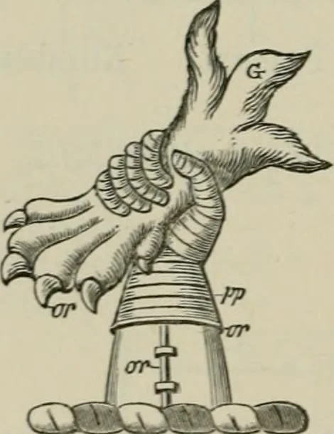 An illustration from The visitation of London : anno Domini 1633, 1634, and 1635. Made by Sr. Henry St. George, kt., Richmond herald, and deputy and marshal to Sr. Richard St. George, kt., Clarencieux king of armes, 1880, leaf 573