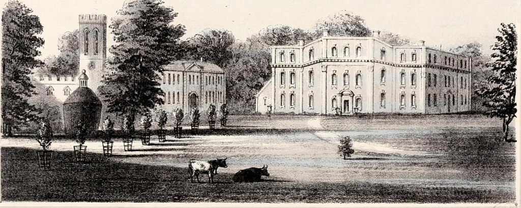 An illustration from A visitation of the seats and arms of the noblemen and gentlemen of Great Britain, 1852, leaf 135