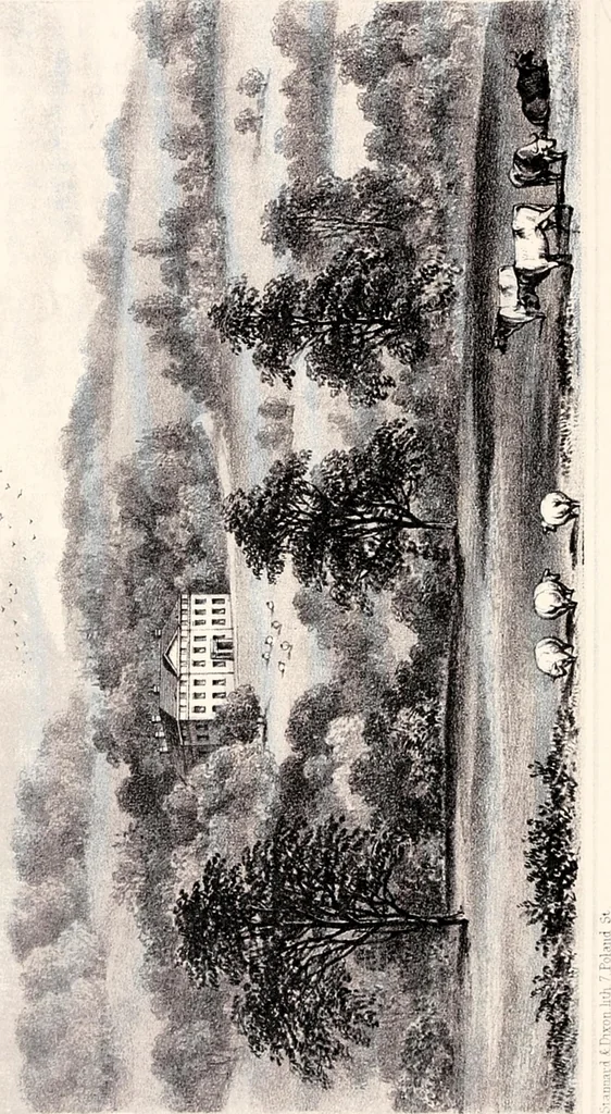 An illustration from A visitation of the seats and arms of the noblemen and gentlemen of Great Britain, 1852, leaf 231