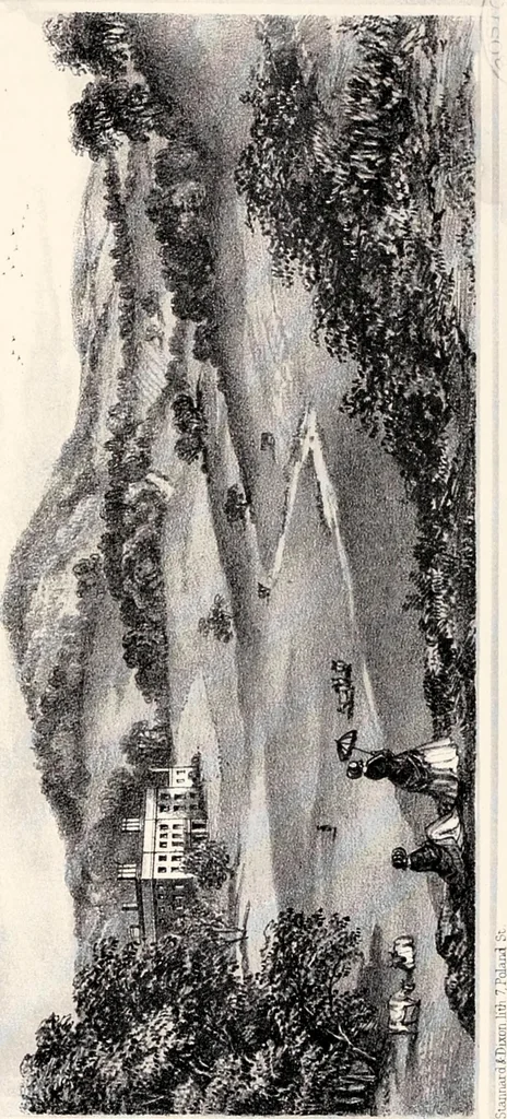 An illustration from A visitation of the seats and arms of the noblemen and gentlemen of Great Britain, 1852, leaf 318