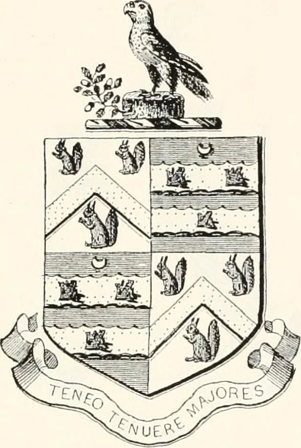 An illustration from A visitation of the seats and arms of the noblemen and gentlemen of Great Britain, 1852, leaf 456