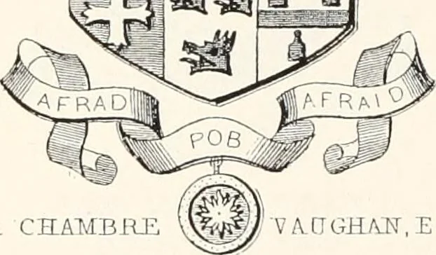 An illustration from A visitation of the seats and arms of the noblemen and gentlemen of Great Britain, 1852, leaf 456