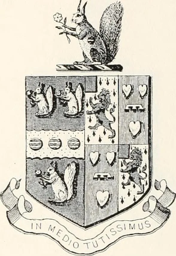 An illustration from A visitation of the seats and arms of the noblemen and gentlemen of Great Britain, 1852, leaf 456