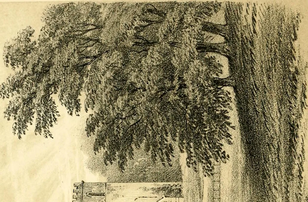 An illustration from A visitation of the seats and arms of the noblemen and gentlemen of Great Britain and Ireland, 1855, leaf 7