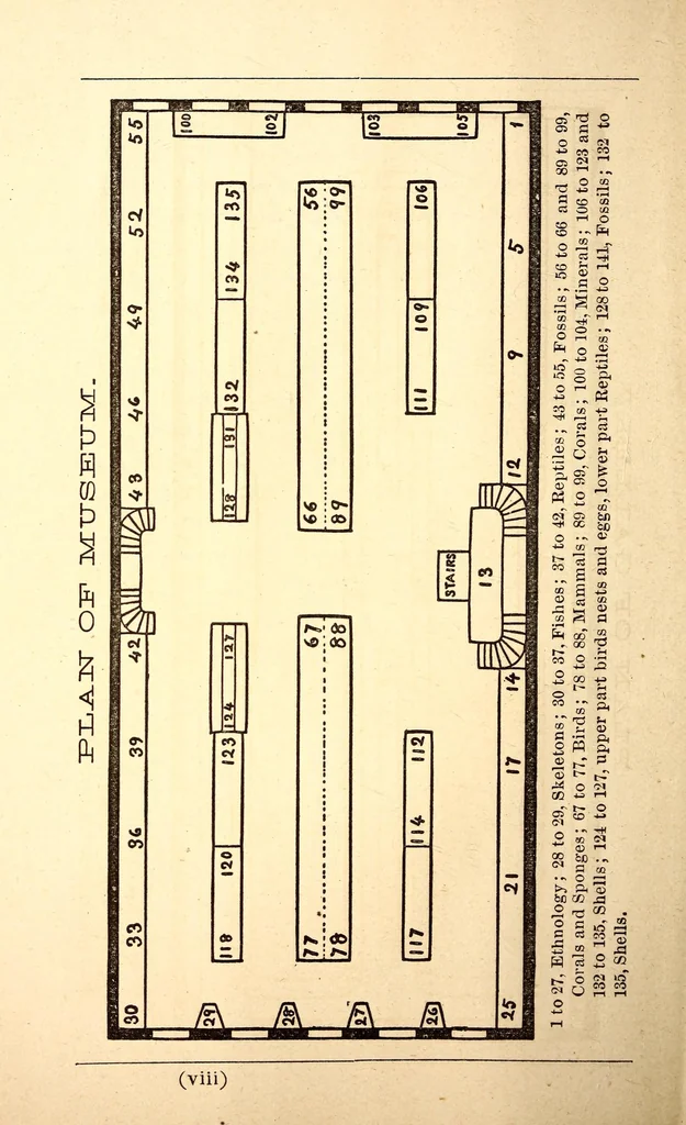 An illustration from Visitor's catalogue of the Museum of the Peabody Academy of Science, Salem, Mass. : with references to books in Salem libraries, 1879, leaf 12