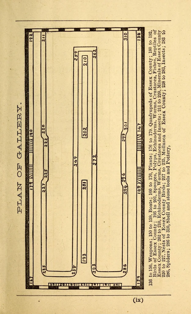 An illustration from Visitor's catalogue of the Museum of the Peabody Academy of Science, Salem, Mass. : with references to books in Salem libraries, 1879, leaf 13