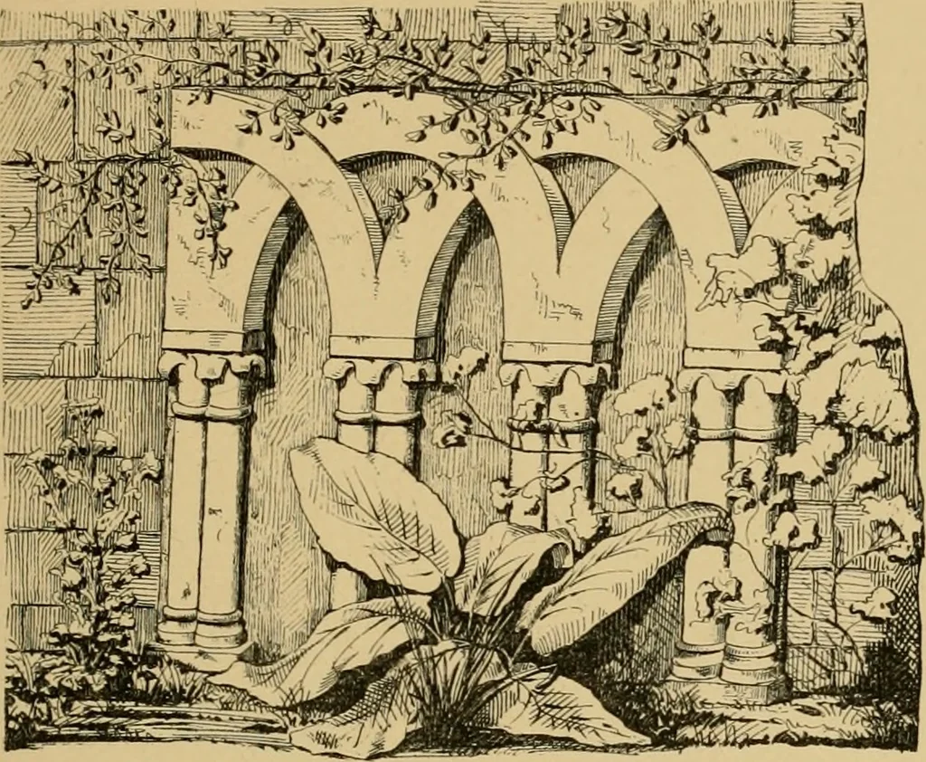 An illustration from A visit to the domed churches of Charente, France, by the Architectural Association of London, in the year 1875 : published as a memorial to Edmund Sharpe : with an historical and descriptive text, illustrated by sixty photo-lithographed plates, 1880, leaf 176