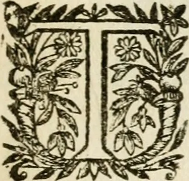 An illustration from Vita Beatae Mariae Virginis matris Dei, emblematibvs delineata = Vie de la bien-hevrevse Vierge Marie, mere de Diev, representée par figures emblematiques, 1646, leaf 14