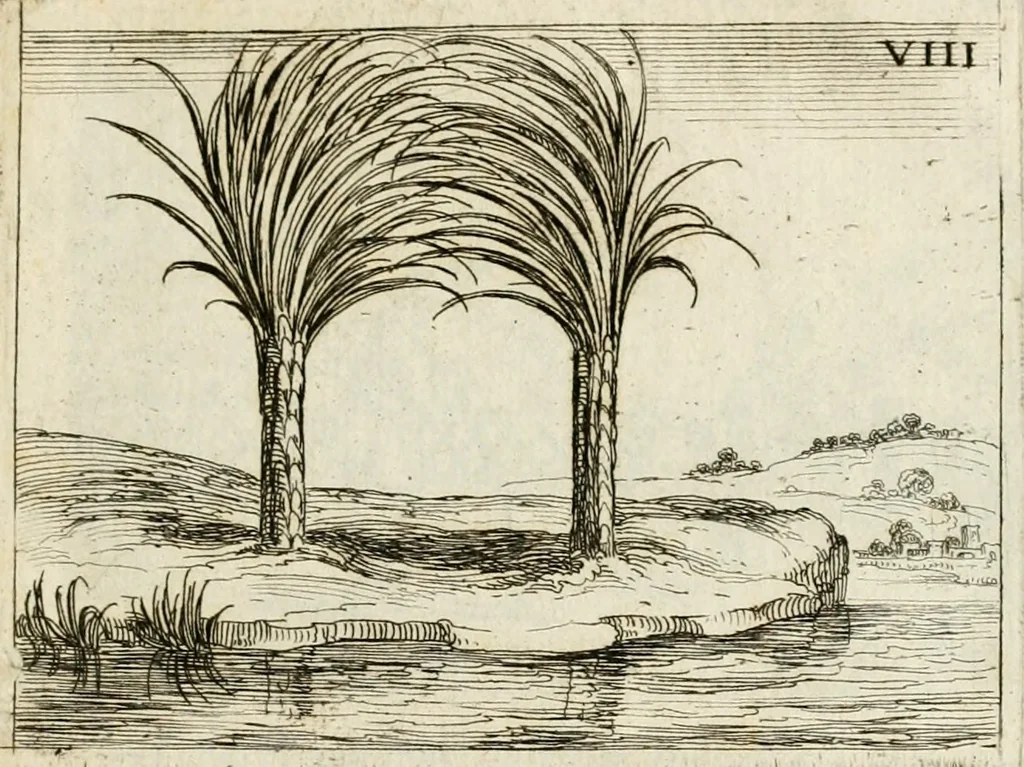 An illustration from Vita Beatae Mariae Virginis matris Dei, emblematibvs delineata = Vie de la bien-hevrevse Vierge Marie, mere de Diev, representée par figures emblematiques, 1646, leaf 30