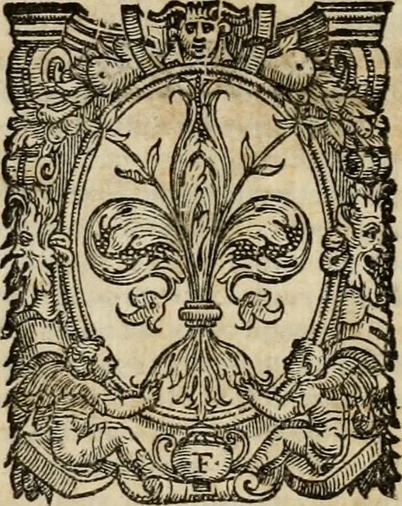 An illustration from Vita del gran Michelagnolo Bvonarrroti, 1568, leaf 91