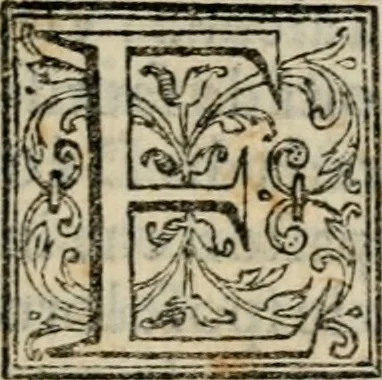 An illustration from Vita dell' inclito et santissimo Domenico patriarca del sagro ordine de predicatori, 1572, leaf 102