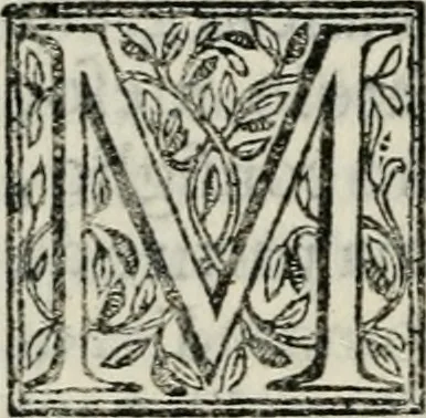 An illustration from Vita dell' inclito et santissimo Domenico patriarca del sagro ordine de predicatori, 1572, leaf 117