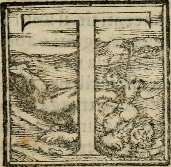 An illustration from Vita dell' inclito et santissimo Domenico patriarca del sagro ordine de predicatori, 1572, leaf 14