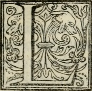An illustration from Vita dell' inclito et santissimo Domenico patriarca del sagro ordine de predicatori, 1572, leaf 156