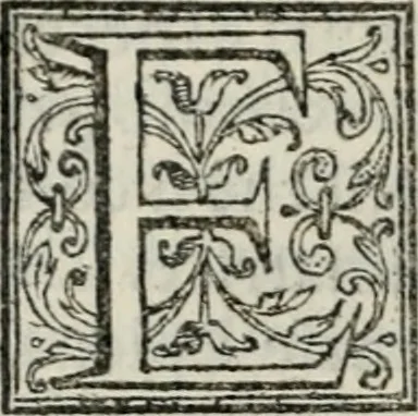 An illustration from Vita dell' inclito et santissimo Domenico patriarca del sagro ordine de predicatori, 1572, leaf 171