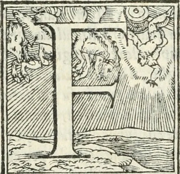An illustration from Vita dell'invittissimo, e sacratissimo Imperator Carlo V, 1566, leaf 243