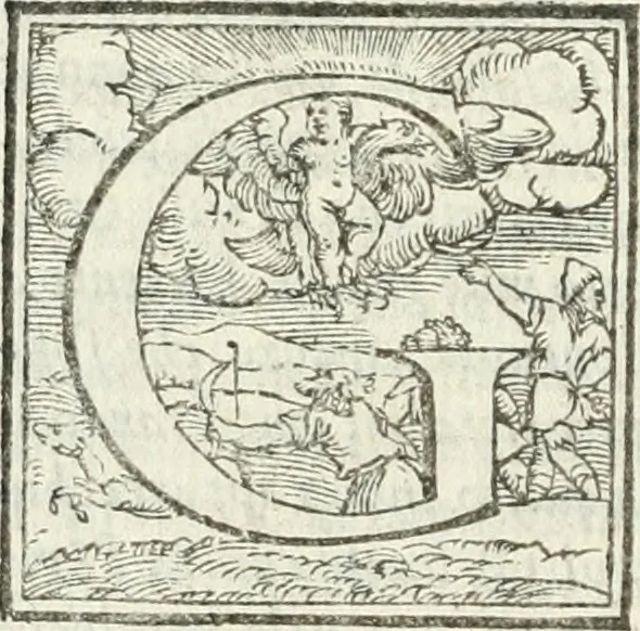 An illustration from Vita dell'invittissimo, e sacratissimo Imperator Carlo V, 1566, leaf 361
