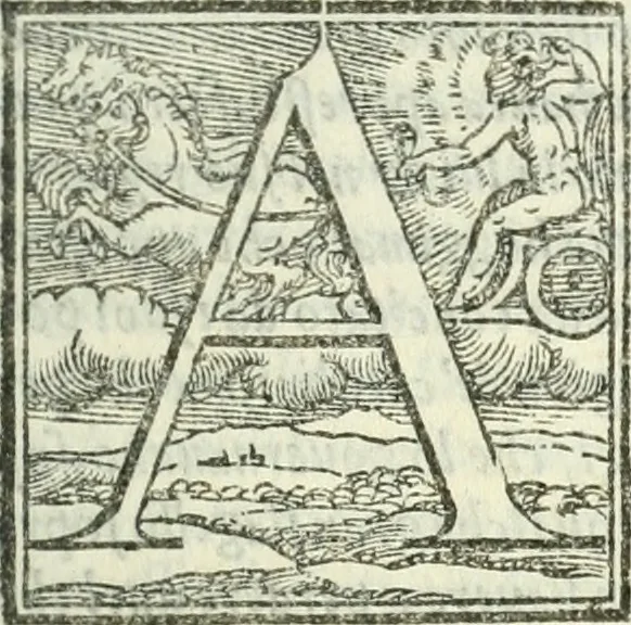 An illustration from Vita dell'invittissimo, e sacratissimo Imperator Carlo V, 1566, leaf 540