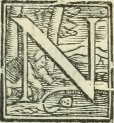 An illustration from Vita dell'invittissimo, e sacratissimo Imperator Carlo V, 1566, leaf 692