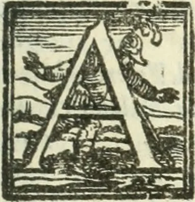 An illustration from Vita dell'invittissimo, e sacratissimo Imperator Carlo V, 1566, leaf 694