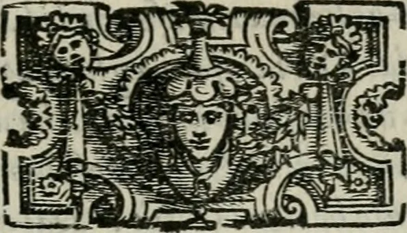 An illustration from Vita del prencipe Andrea Doria, 1565, leaf 22