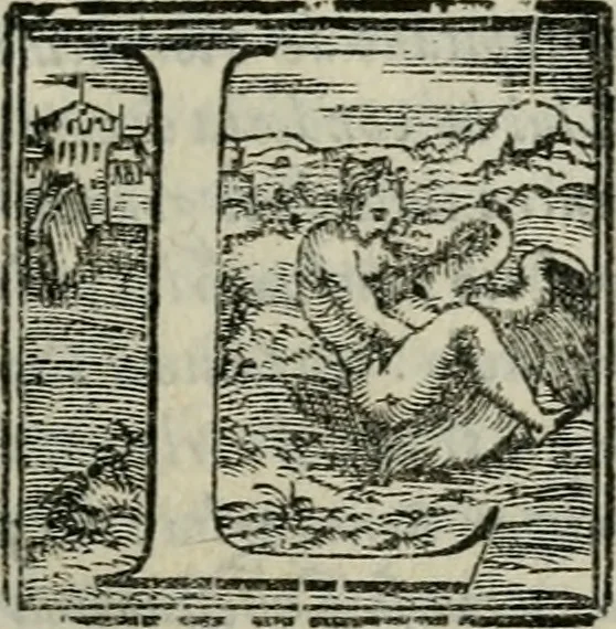 An illustration from Vita del prencipe Andrea Doria, 1565, leaf 22