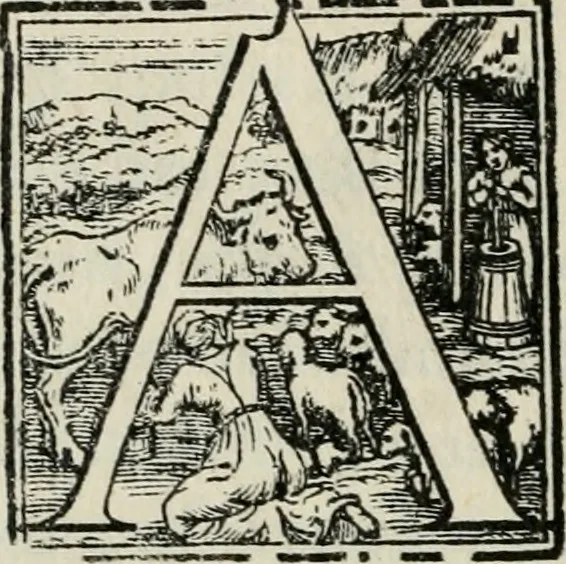 An illustration from Vita del prencipe Andrea Doria, 1565, leaf 9