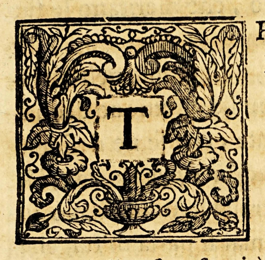 An illustration from Vita del servo di Dio D. Torivio Alfonso Mogrovejo, 1656, leaf 223
