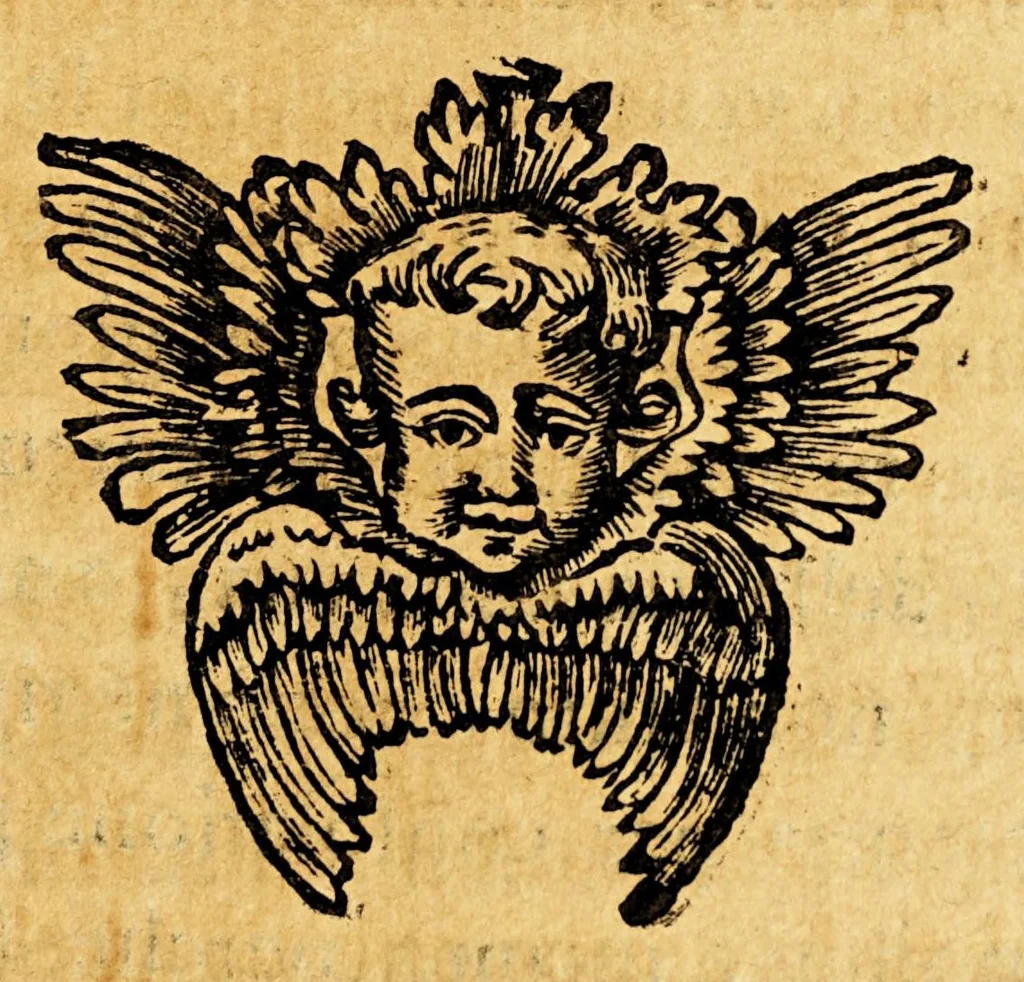 An illustration from Vita del servo di Dio D. Torivio Alfonso Mogrovejo, 1656, leaf 239