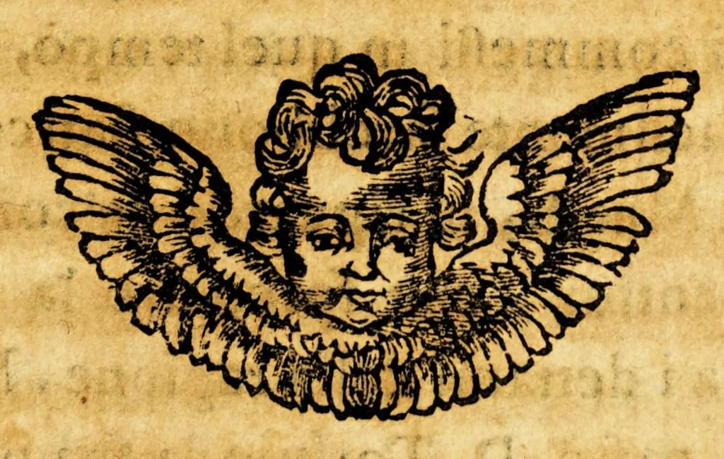 An illustration from Vita del servo di Dio D. Torivio Alfonso Mogrovejo, 1656, leaf 27