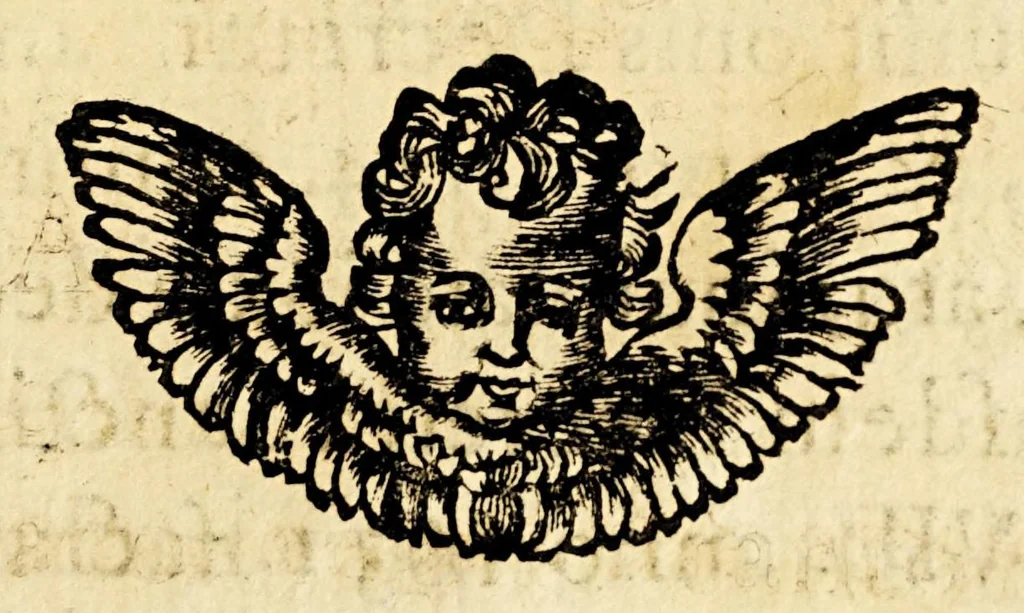 An illustration from Vita del servo di Dio D. Torivio Alfonso Mogrovejo, 1656, leaf 331