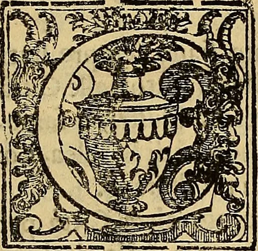 An illustration from Vita di Giacopo Robusti detto il Tintoretto, celebre pittore, cittadino venetiano, 1642, leaf 6
