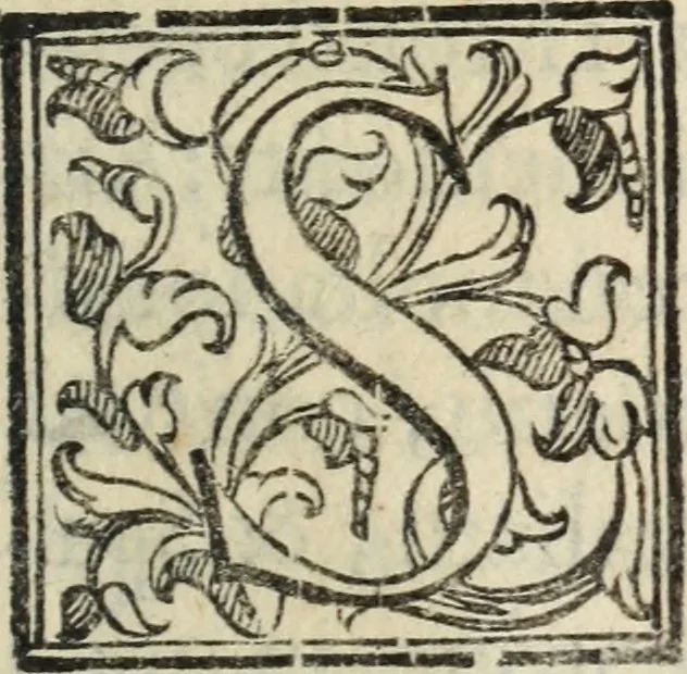 An illustration from Vita di Gio. Iacomo Medici, marchese di Marignano : valorosissimo, & inuittissimo capitan generale; nellaquale, oltra le vittorie per se stesso hauute contra il duca di Milano, e contra i Grigioni, et per altri nella Lombardia, nel Piemonte, nella Germania, nella Boemia, nell'Vngheria, nella Fiandra, e nella Toscana; sono comprese le più notabili cose nel suo tempo occorse; & molti auuertimenti politici, e modi di guerreggiare, 1605, leaf 136