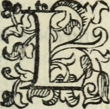 An illustration from Vita di Gio. Iacomo Medici, marchese di Marignano : valorosissimo, & inuittissimo capitan generale; nellaquale, oltra le vittorie per se stesso hauute contra il duca di Milano, e contra i Grigioni, et per altri nella Lombardia, nel Piemonte, nella Germania, nella Boemia, nell'Vngheria, nella Fiandra, e nella Toscana; sono comprese le più notabili cose nel suo tempo occorse; & molti auuertimenti politici, e modi di guerreggiare, 1605, leaf 14
