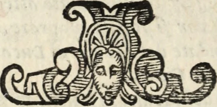 An illustration from Vita di Gio. Iacomo Medici, marchese di Marignano : valorosissimo, & inuittissimo capitan generale; nellaquale, oltra le vittorie per se stesso hauute contra il duca di Milano, e contra i Grigioni, et per altri nella Lombardia, nel Piemonte, nella Germania, nella Boemia, nell'Vngheria, nella Fiandra, e nella Toscana; sono comprese le più notabili cose nel suo tempo occorse; & molti auuertimenti politici, e modi di guerreggiare, 1605, leaf 29