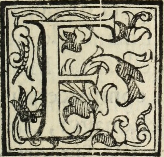 An illustration from Vita di Gio. Iacomo Medici, marchese di Marignano : valorosissimo, & inuittissimo capitan generale; nellaquale, oltra le vittorie per se stesso hauute contra il duca di Milano, e contra i Grigioni, et per altri nella Lombardia, nel Piemonte, nella Germania, nella Boemia, nell'Vngheria, nella Fiandra, e nella Toscana; sono comprese le più notabili cose nel suo tempo occorse; & molti auuertimenti politici, e modi di guerreggiare, 1605, leaf 8