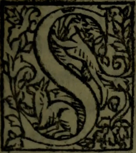 An illustration from Vita di M. Avrelio Imperadore : con le alte & profonde sue sentenze, notabili docume[n]ti, ammirabili essempli & lodeuole norma di viuere ; nouamente tradotta di spagnuolo i lingua toscana per Mambrino Rosea, 1543, leaf 10