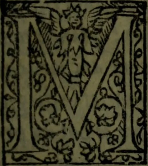 An illustration from Vita di M. Avrelio Imperadore : con le alte & profonde sue sentenze, notabili docume[n]ti, ammirabili essempli & lodeuole norma di viuere ; nouamente tradotta di spagnuolo i lingua toscana per Mambrino Rosea, 1543, leaf 168