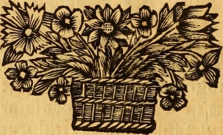 An illustration from Vitae jurisconsultorum quorum in Pandectis : extant nomina conscriptae, 1690, leaf 211