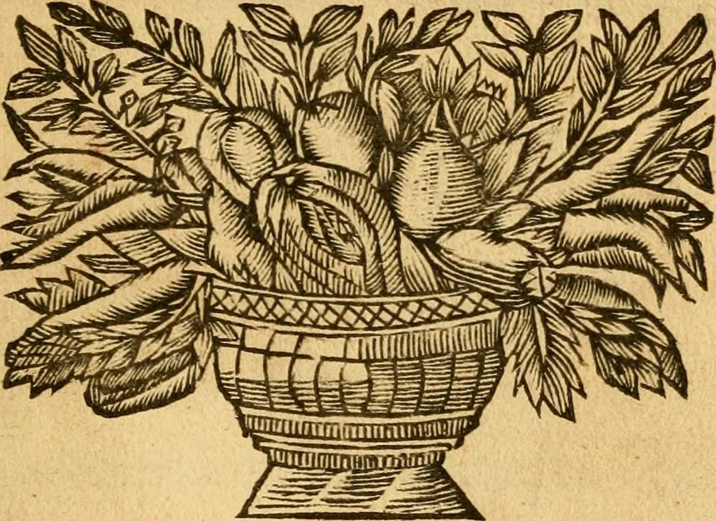 An illustration from Vitae jurisconsultorum quorum in Pandectis : extant nomina conscriptae, 1690, leaf 4