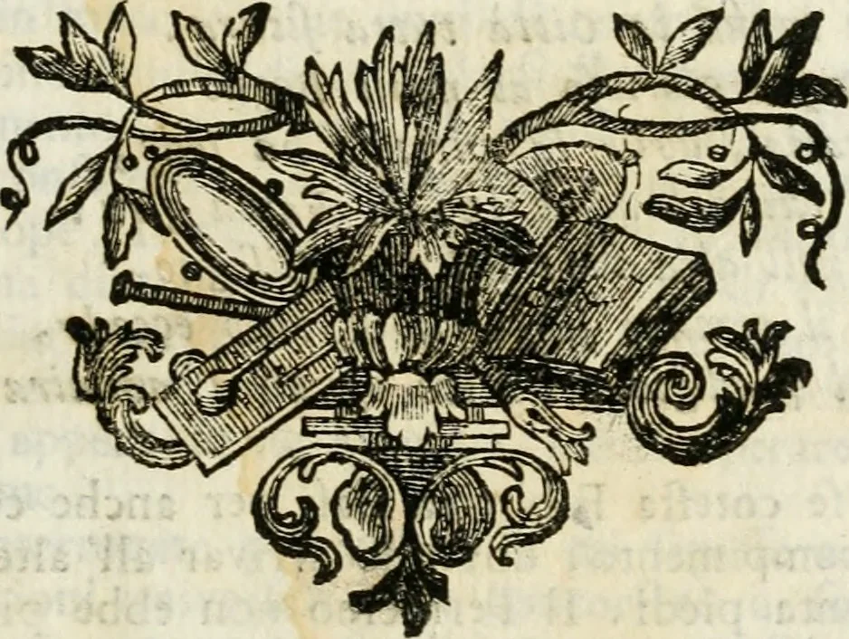 An illustration from Vita e macchine di Bartolommeo Ferracino, celebre bassanese ingegnere : colla storia del Ponte di Bassano dal medesimo rifabbrecato : illustrata da varie note riguardanti la stessa città, 1754, leaf 16