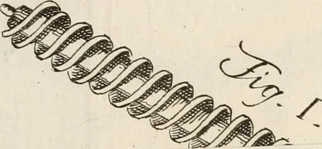 An illustration from Vita e macchine di Bartolommeo Ferracino, celebre bassanese ingegnere : colla storia del Ponte di Bassano dal medesimo rifabbrecato : illustrata da varie note riguardanti la stessa città, 1754, leaf 246