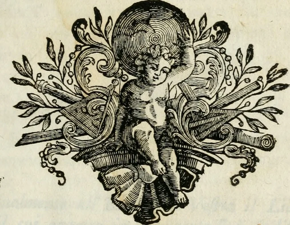 An illustration from Vita e macchine di Bartolommeo Ferracino, celebre bassanese ingegnere : colla storia del Ponte di Bassano dal medesimo rifabbrecato : illustrata da varie note riguardanti la stessa città, 1754, leaf 8