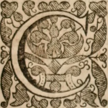 An illustration from Vitae selectorum aliquot virorum qui doctrina, dignitate, aut pietate inclaruere, 1681, leaf 450