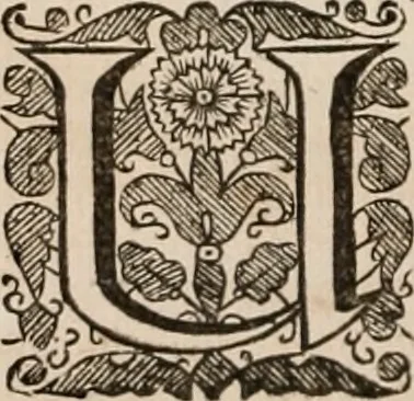 An illustration from Vitae selectorum aliquot virorum qui doctrina, dignitate, aut pietate inclaruere, 1681, leaf 465