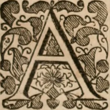 An illustration from Vitae selectorum aliquot virorum qui doctrina, dignitate, aut pietate inclaruere, 1681, leaf 542