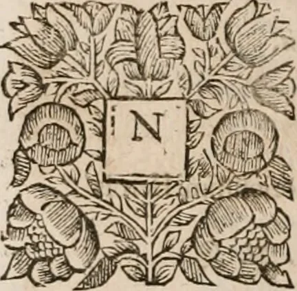 An illustration from Vitae selectorum aliquot virorum qui doctrina, dignitate, aut pietate inclaruere, 1681, leaf 575