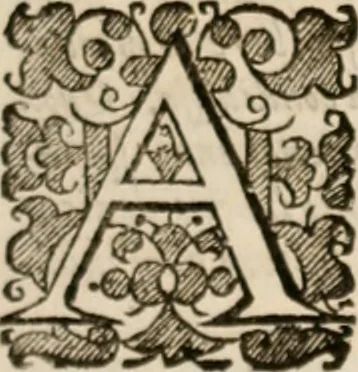 An illustration from Vitae selectorum aliquot virorum qui doctrina, dignitate, aut pietate inclaruere, 1681, leaf 58