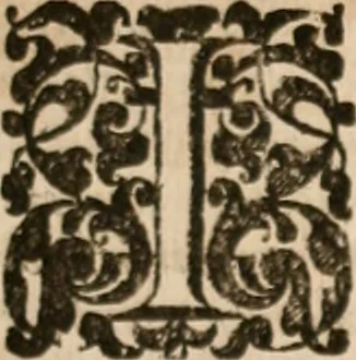 An illustration from Vitae selectorum aliquot virorum qui doctrina, dignitate, aut pietate inclaruere, 1681, leaf 624
